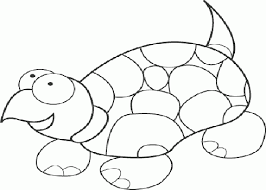 Tô màu con rùa